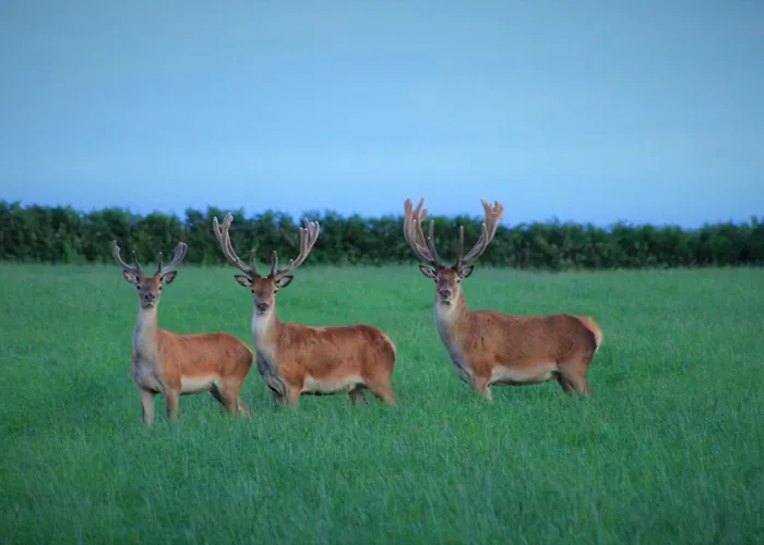 Boatman's Quarters -three Bedroom Guest * 스키버렌